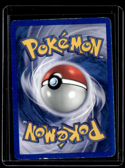 Gym Heroes Brock (15)