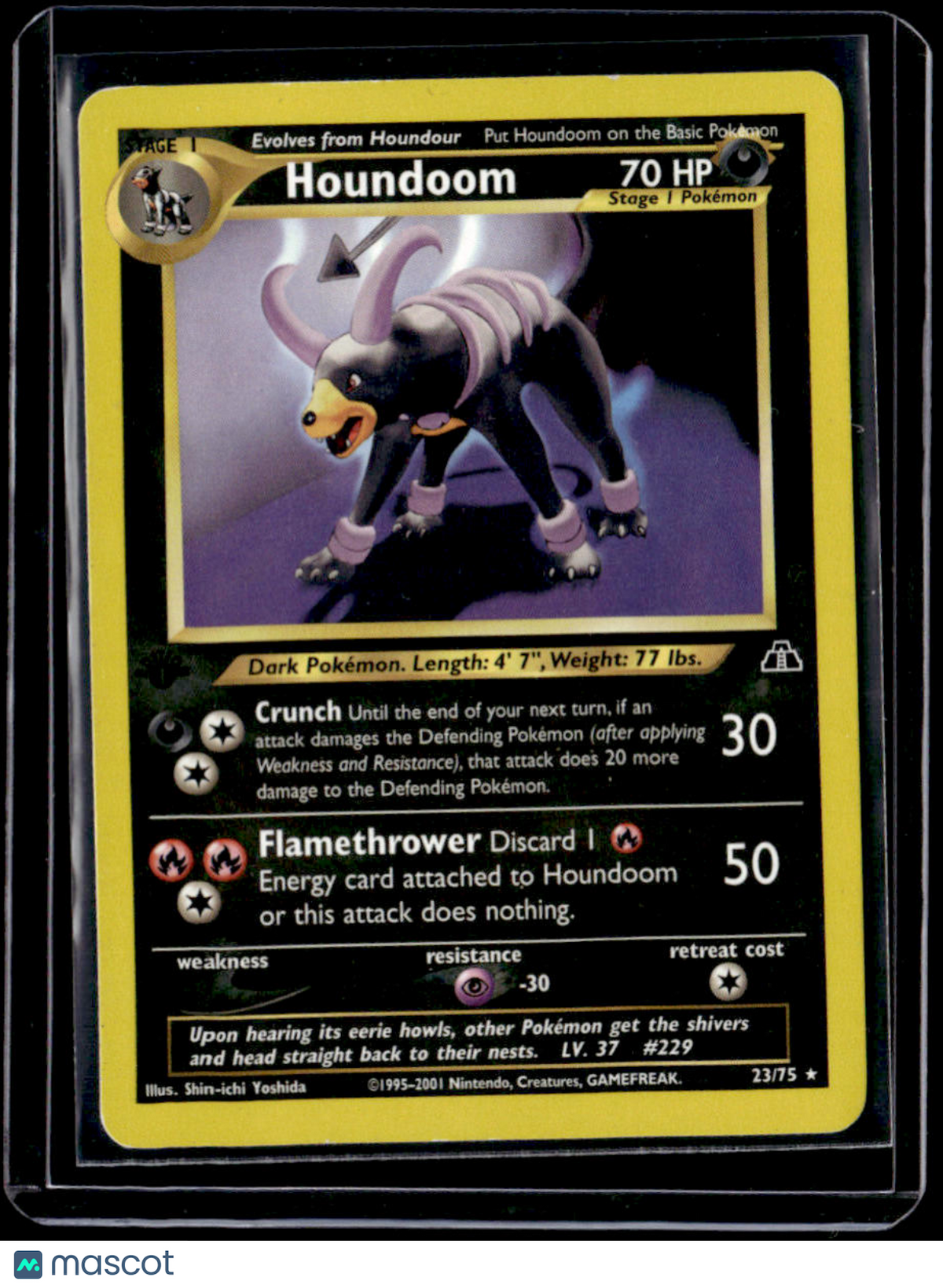 Neo Discovery Houndoom (23)