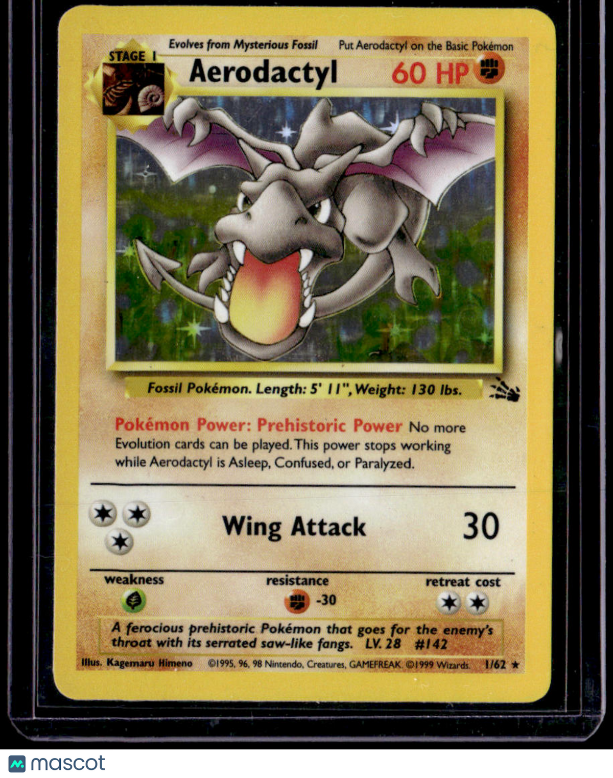 Fossil Aerodactyl (1)