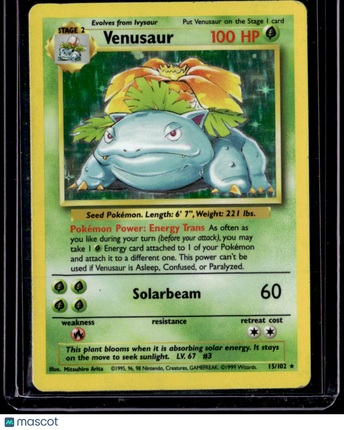 Base Set Venusaur