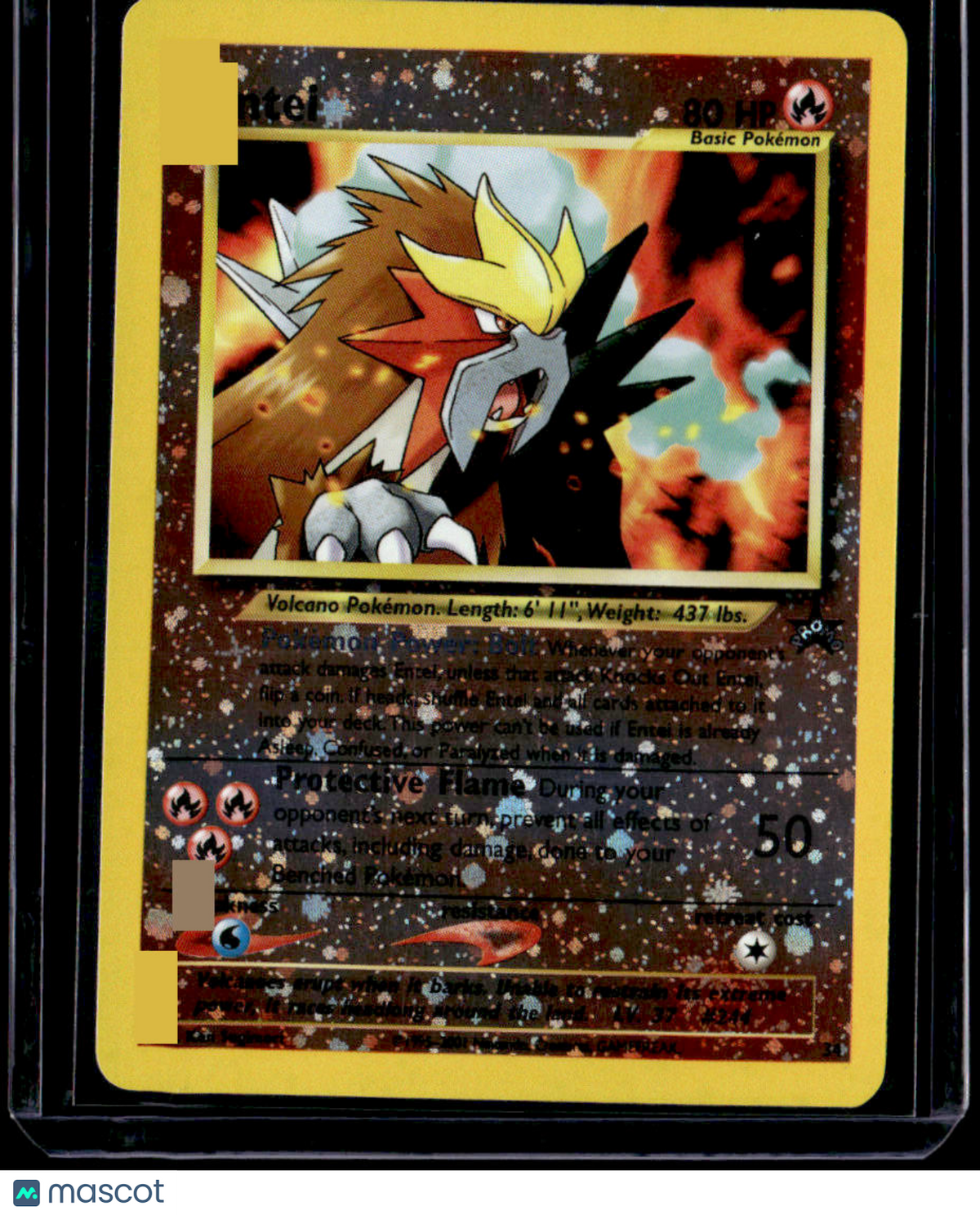 WoTC Promo Entei