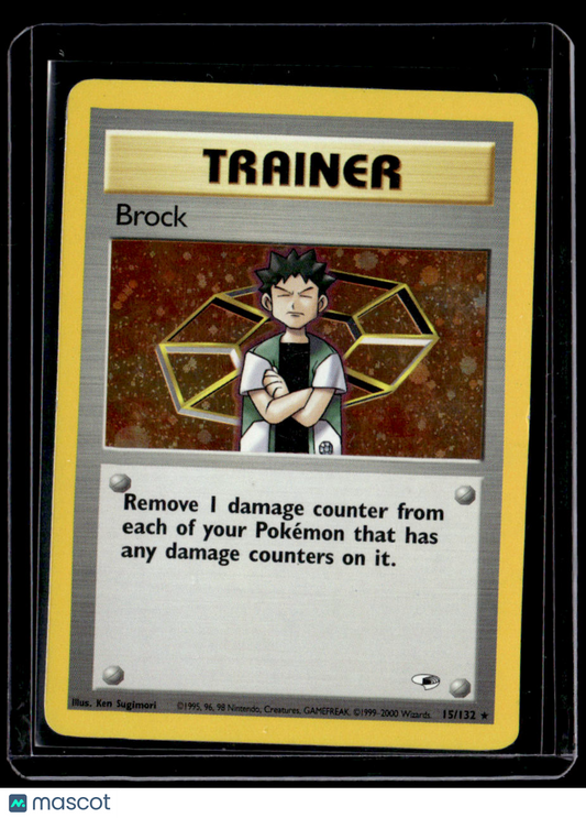 Gym Heroes Brock (15)