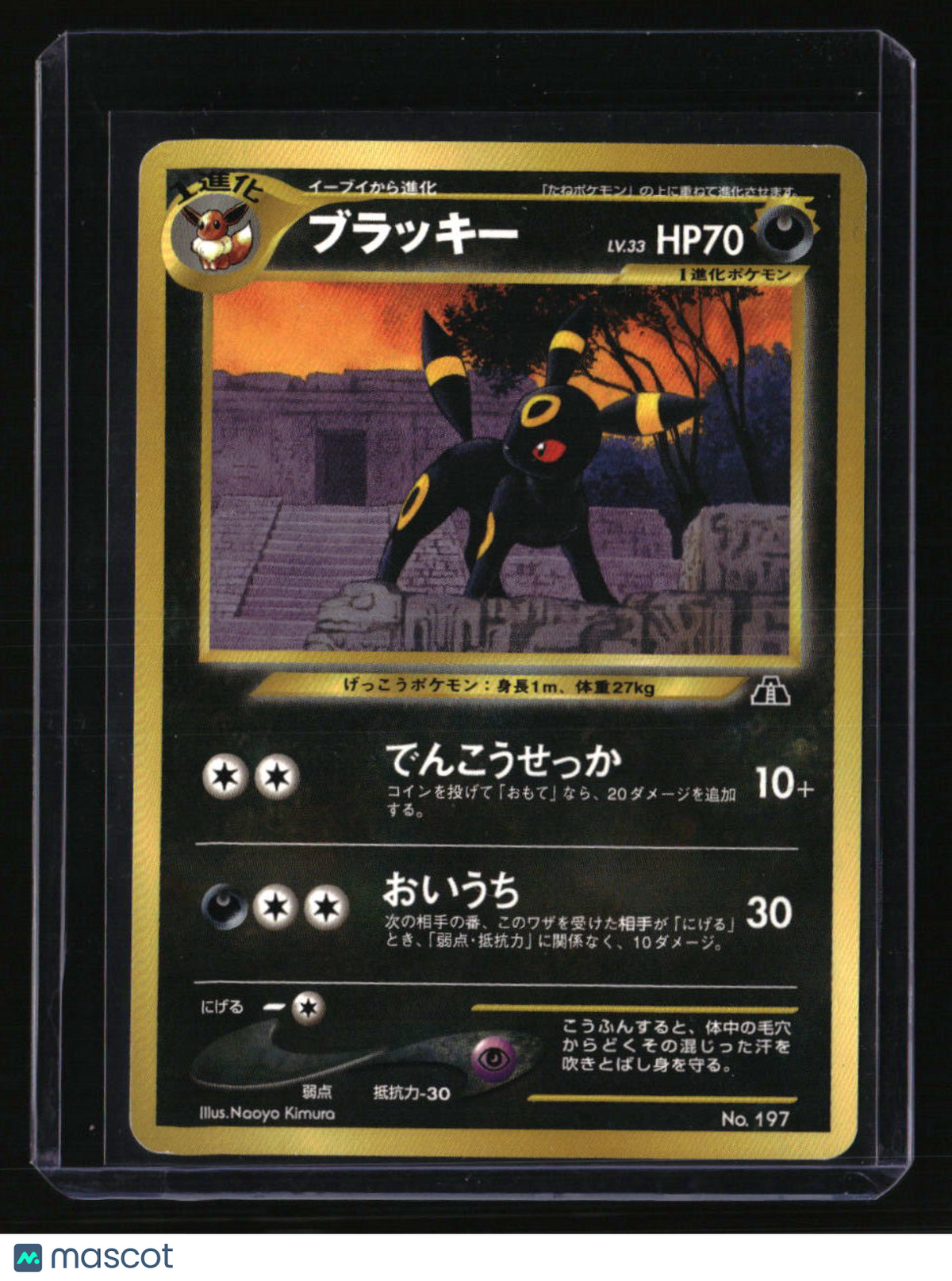 Neo Premium File 2 Umbreon