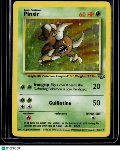 Jungle Pinsir (9)