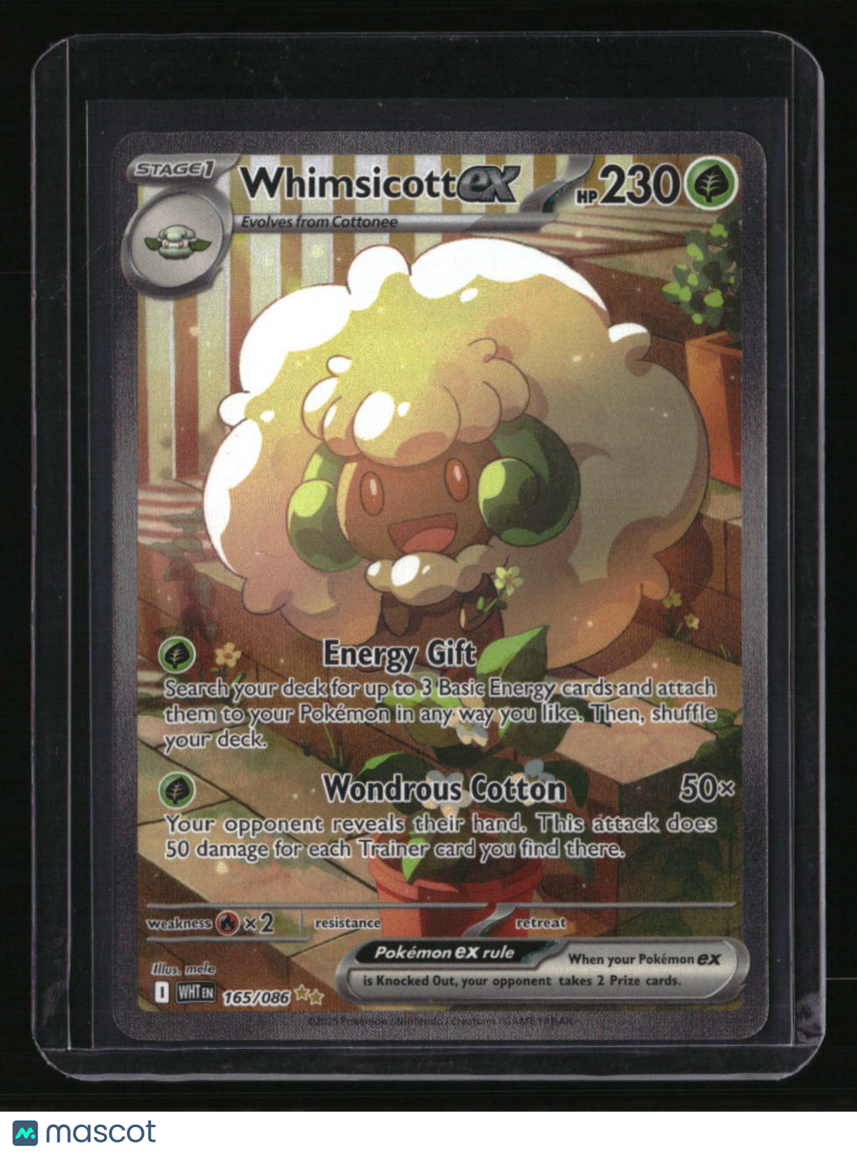 SV: White Flare Whimsicott ex